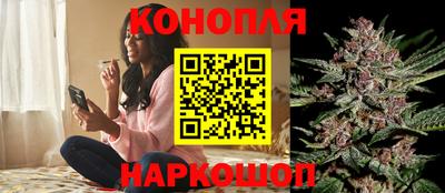 индика Кунгур