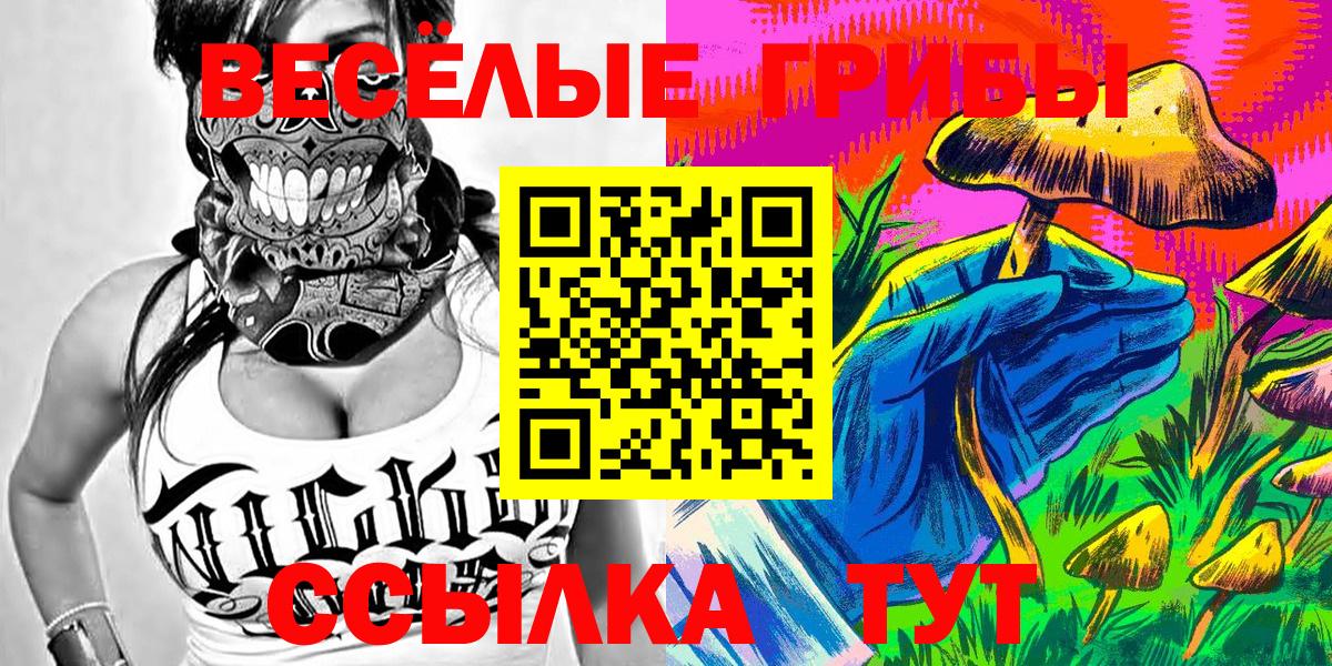 Псилоцибиновые грибы GOLDEN TEACHER  Галлюциногенные грибы Psilocybine cubensis  Вход с VPN  Канаш 