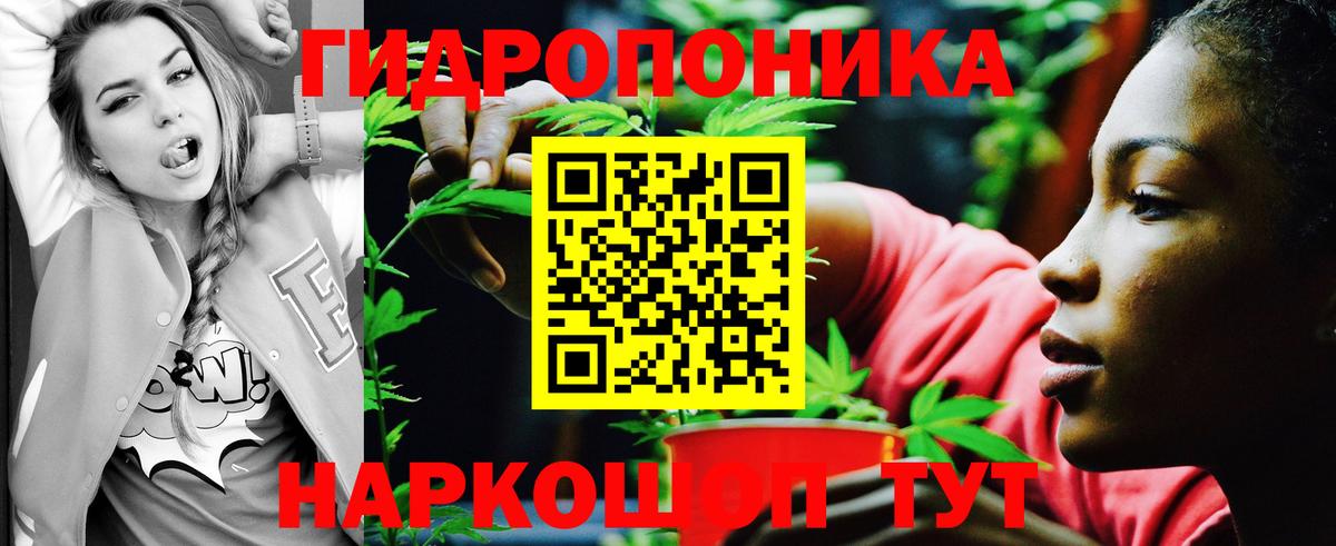 Каннабис AK-47 Канаш